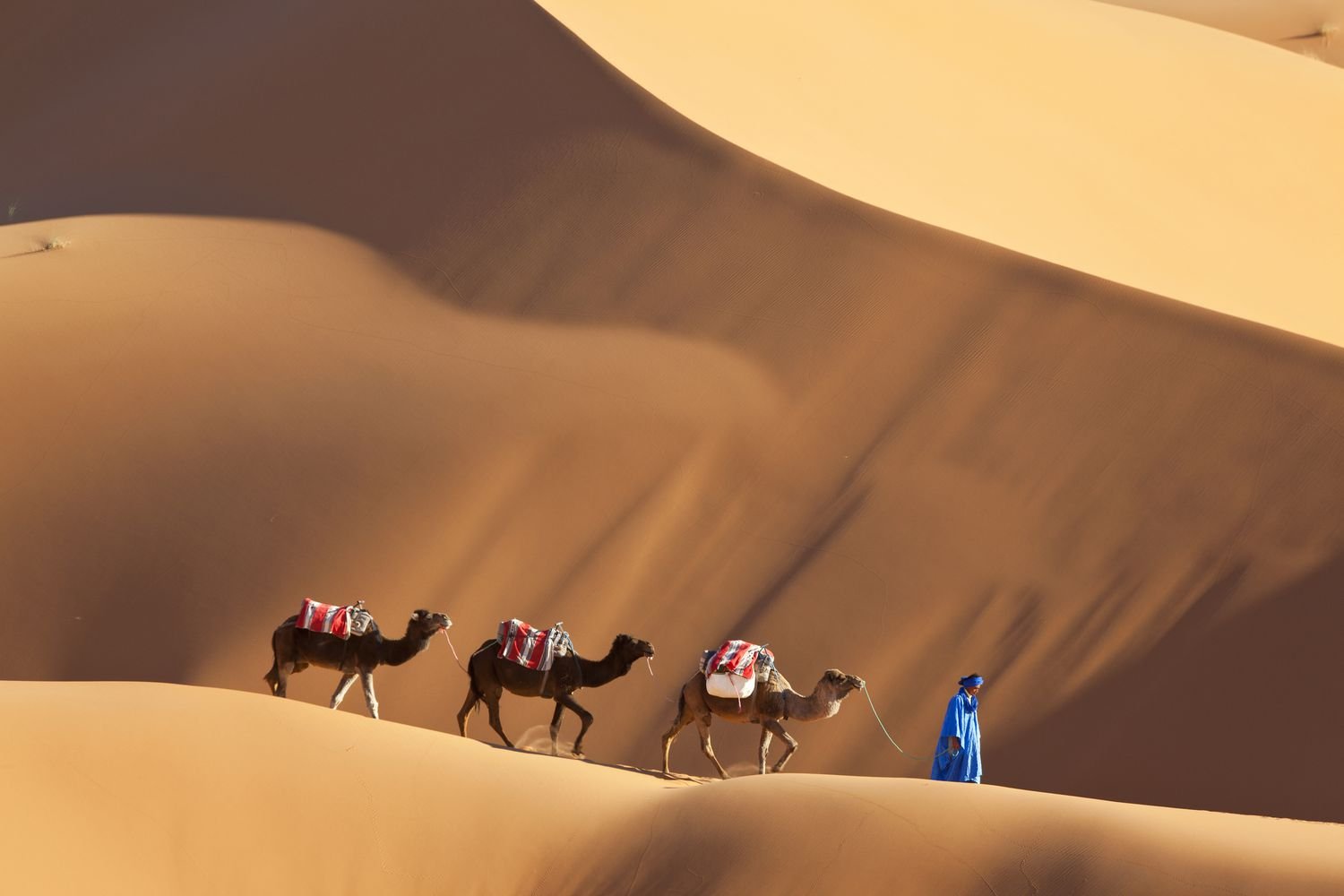 Merzouga Sahara 4 day excursion